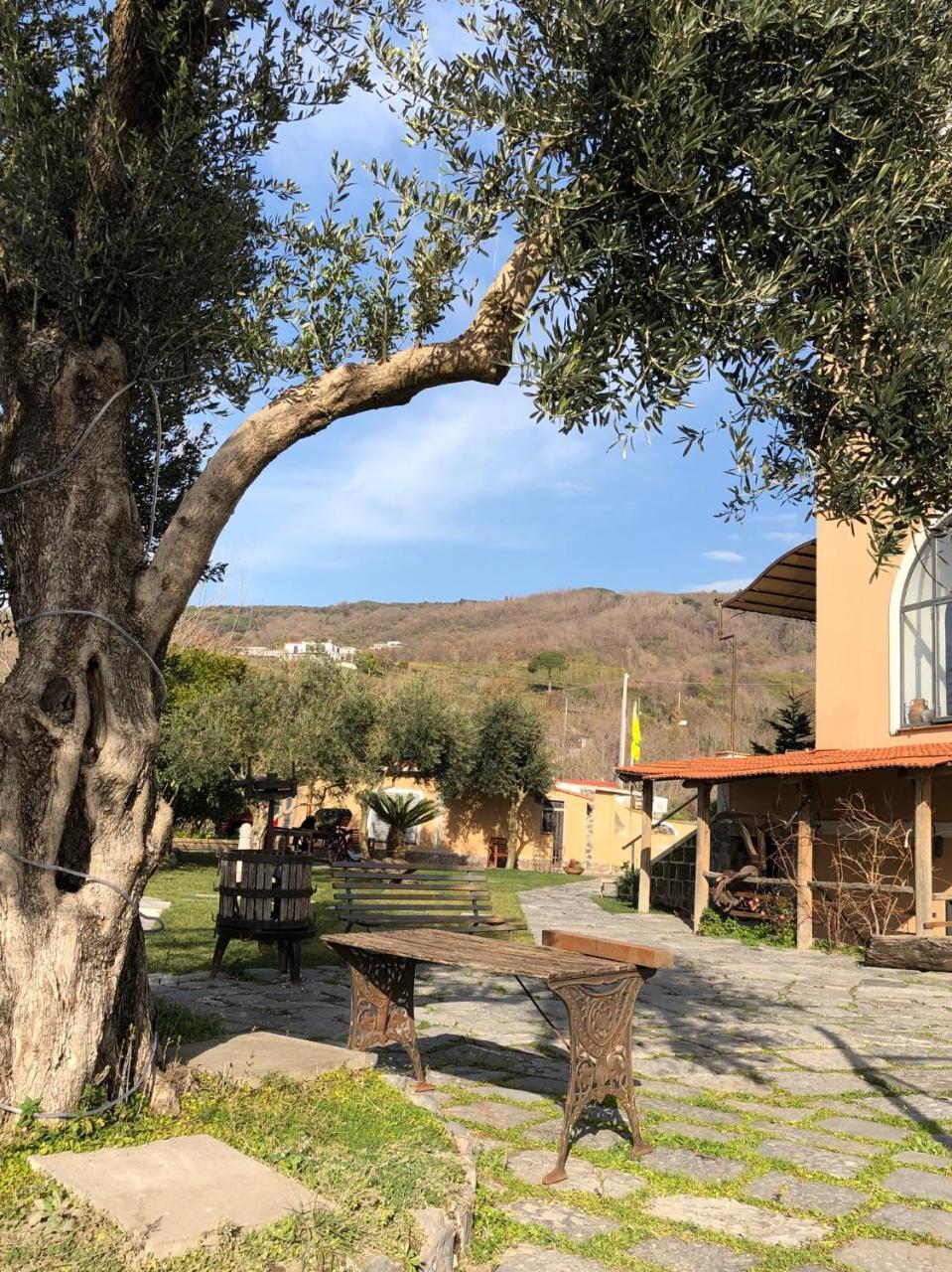 Domus Agricolae Corallina Torre del Greco Exterior foto